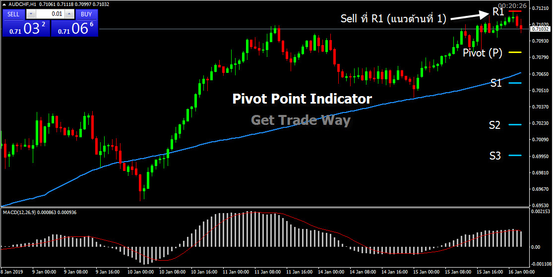 การทำงาน Pivot Point Indicator